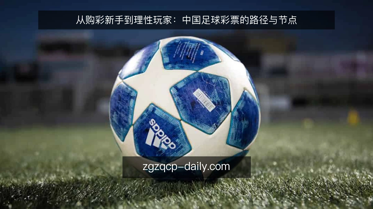 从购彩新手到理性玩家：中国足球彩票的路径与节点