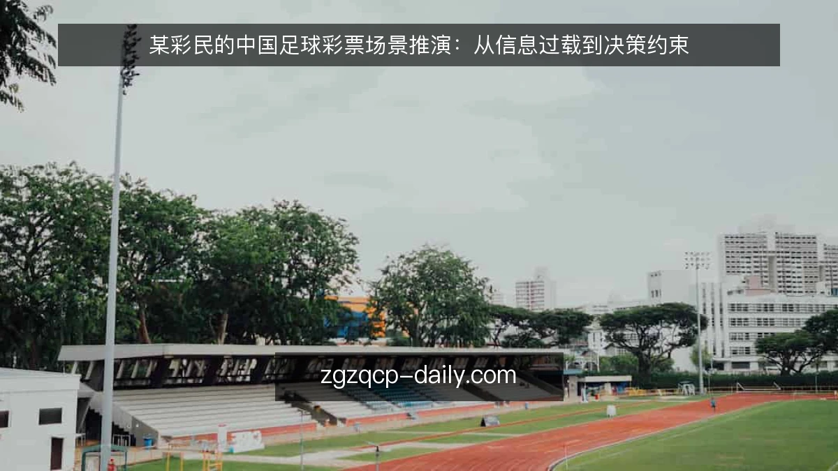 某彩民的中国足球彩票场景推演:从信息过载到决策约束